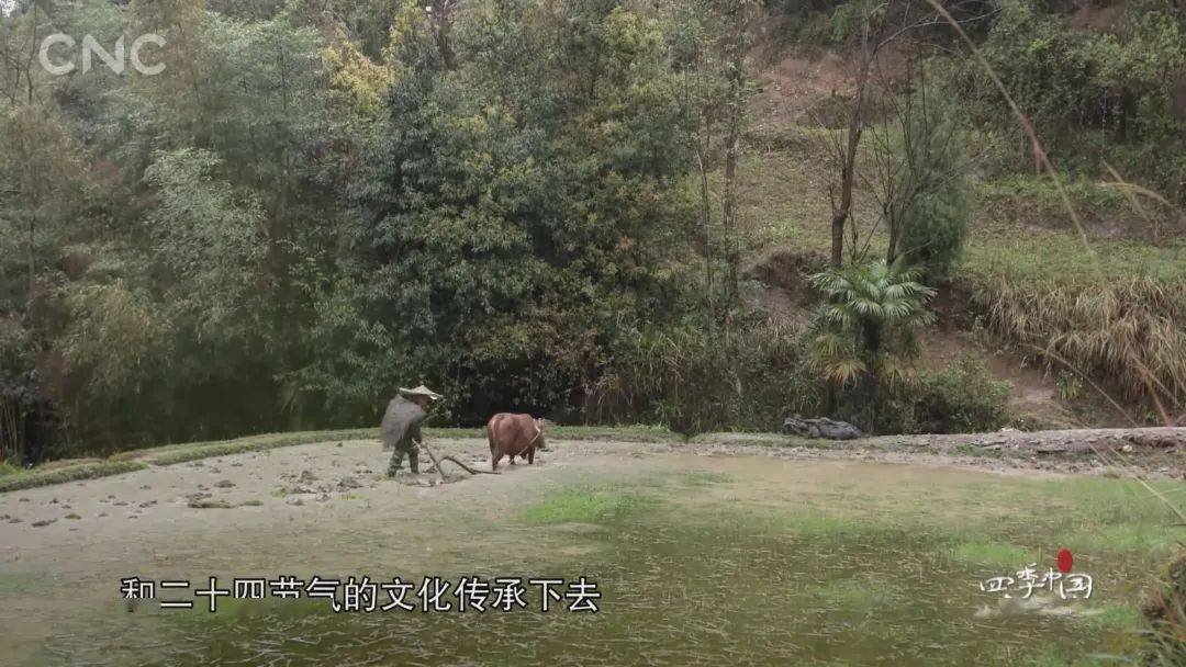 狂飙9.7！叫板BBC！这部国宝级神作，每一帧都好绝
