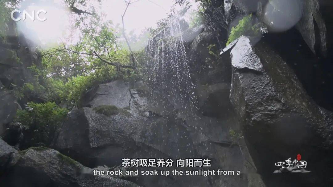 狂飙9.7！叫板BBC！这部国宝级神作，每一帧都好绝