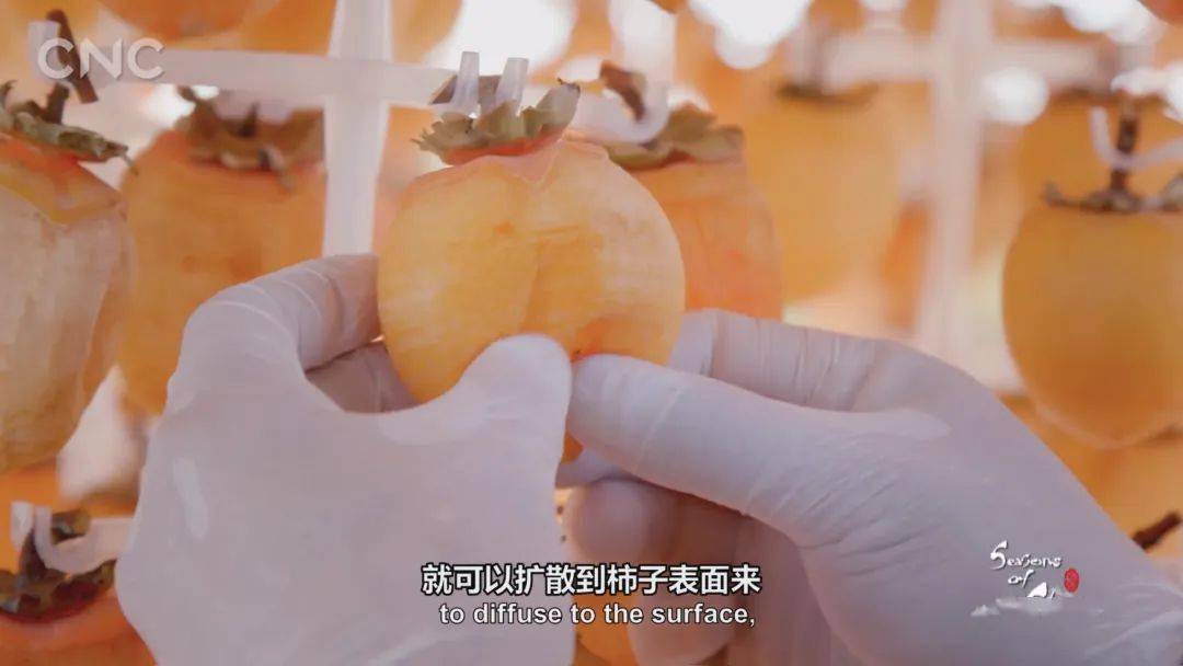 狂飙9.7！叫板BBC！这部国宝级神作，每一帧都好绝