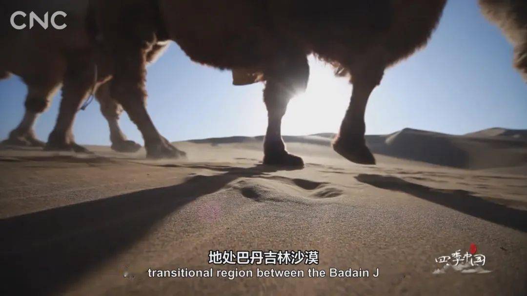 狂飙9.7！叫板BBC！这部国宝级神作，每一帧都好绝