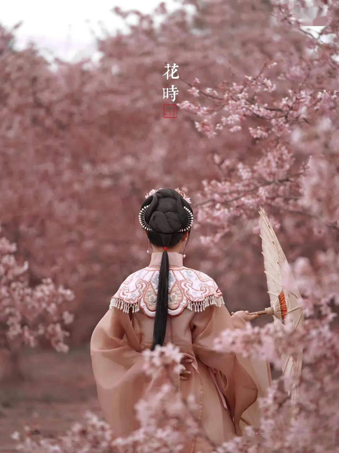 贵安樱花园观景台、繁樱广场怎么玩？一文告诉你